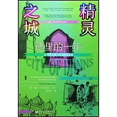 精靈之城：德里的一年