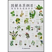 圖解本草綱目極簡養生速查全書