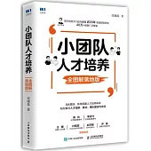 小團隊人才培養(全圖解落地版)