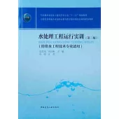 水處理工程運行實訓(第二版)(給排水工程技術專業適用)