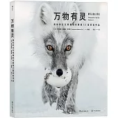 萬物有靈：國際野生生物攝影年賽第53屆獲獎作品