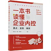 一本書讀懂企業內控：要點·實務·案例