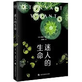 迷人的生命