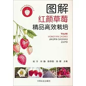 圖解紅顏草莓精品高效栽培