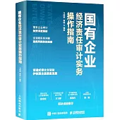 國有企業經濟責任審計實務操作指南
