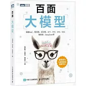 百面大模型