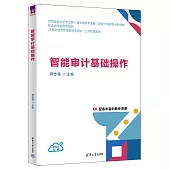 智能審計基礎操作