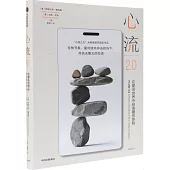 心流2.0：在複雜世界中創造最優體驗