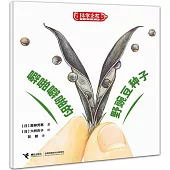 噼啪噼啪的野豌豆種子