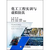 化工工程實訓與虛擬仿真