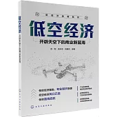 低空經濟：開闢天空下的商業新藍海