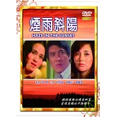 煙雨斜陽(數位處理版) DVD