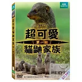 超可愛貓鼬家族1 DVD