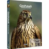 蒼鷹 風的化身 (藍光BD)