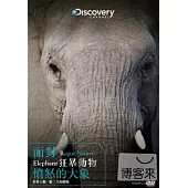 面對狂暴動物：憤怒的大象 DVD