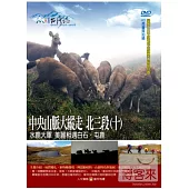 MIT台灣誌(70)中央山脈大縱走 北三段(十)-水鹿大軍 美麗相遇白石‧屯鹿 DVD