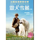 靈犬雪麗 DVD