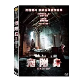 鬼附身 DVD