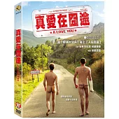 真愛在囧途 (DVD)