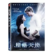 墮落天使 (DVD)