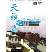 天籟之音 DVD