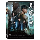九龍不敗
