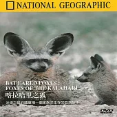 國家地理頻道(072) 喀拉哈里之狐 DVD