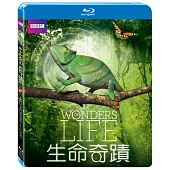 生命奇蹟 (2藍光BD)