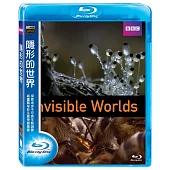 隱形的世界 (藍光BD)