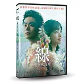 線：愛在相逢時 DVD