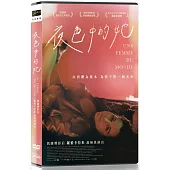夜色中的她 DVD