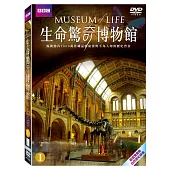 生命驚奇博物館1 2DVD