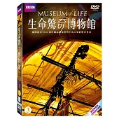 生命驚奇博物館3 2DVD