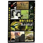 NHK 動物生態探索 DVD