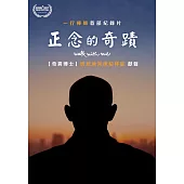 正念的奇蹟 DVD