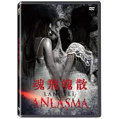 魂飛魄散 DVD