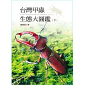 台灣甲蟲生態大圖鑑(下冊) (電子書)