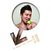 開洞吧，男孩! (電子書)