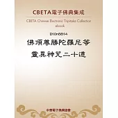 佛頂尊勝陀羅尼等靈異神咒二十道 (電子書)