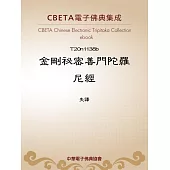 金剛祕密善門陀羅尼經 (電子書)