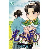 光之風(33) (電子書)