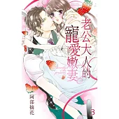 老公大人的寵愛嫩妻 3 (電子書)