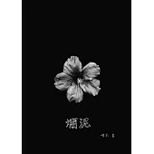 爛泥 (電子書)