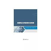 湖南電力供需現狀及預測 (電子書)