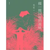 摸一摸閃電的滋味 (電子書)