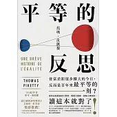 平等的反思 (電子書)