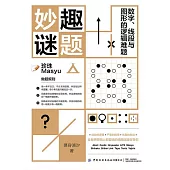 妙趣謎題：數位、線段與圖形的邏輯難題 (電子書)
