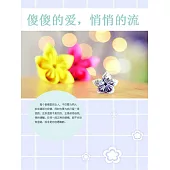 傻傻的愛，悄悄的流 (電子書)