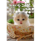 癒しのねこ写真集 かわいいこねこ ~大好き! スコティッシュ・フォールド~ (電子書)