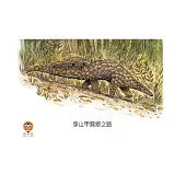 穿山甲歸鄉之路中文有聲繪本 (電子書)